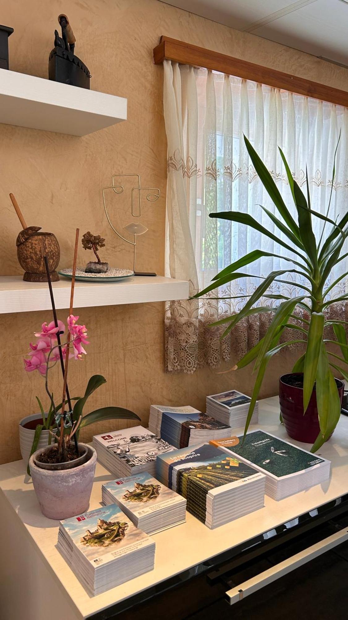 דירות A Hilarious Hideaway In Roveredo מראה חיצוני תמונה